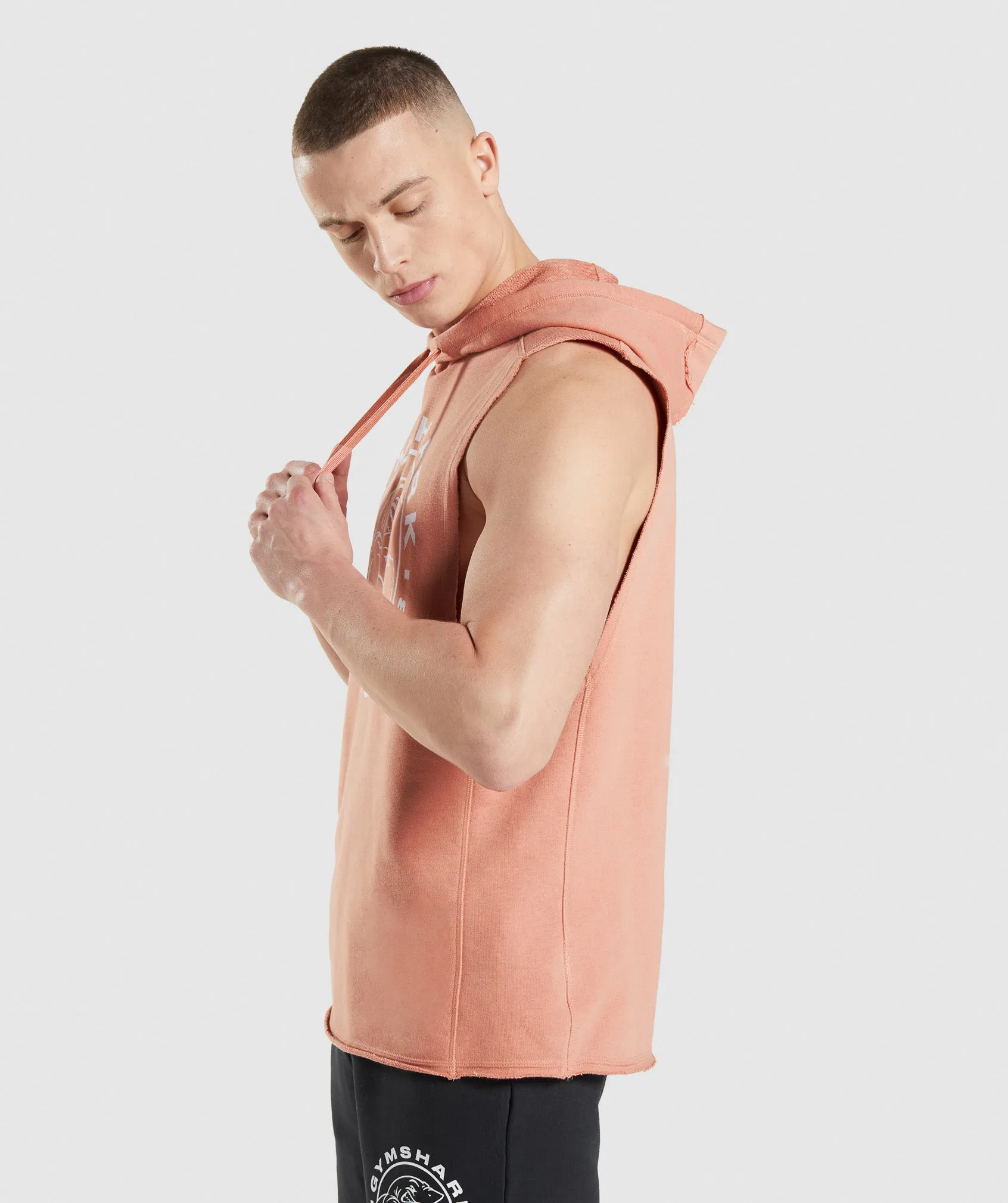 Gymshark Legacy Drop Arm Hoodie - Nevada Pink