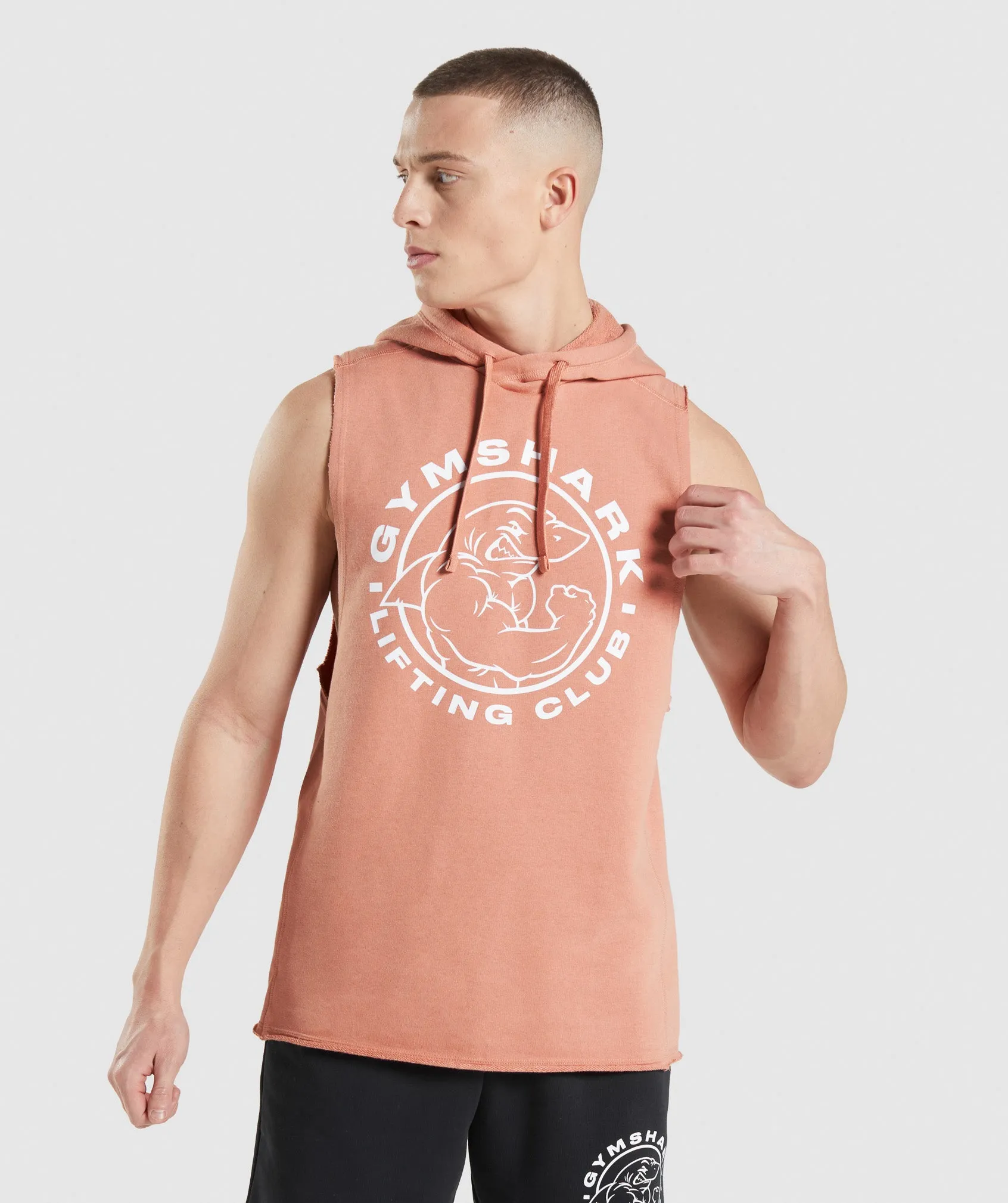 Gymshark Legacy Drop Arm Hoodie - Nevada Pink